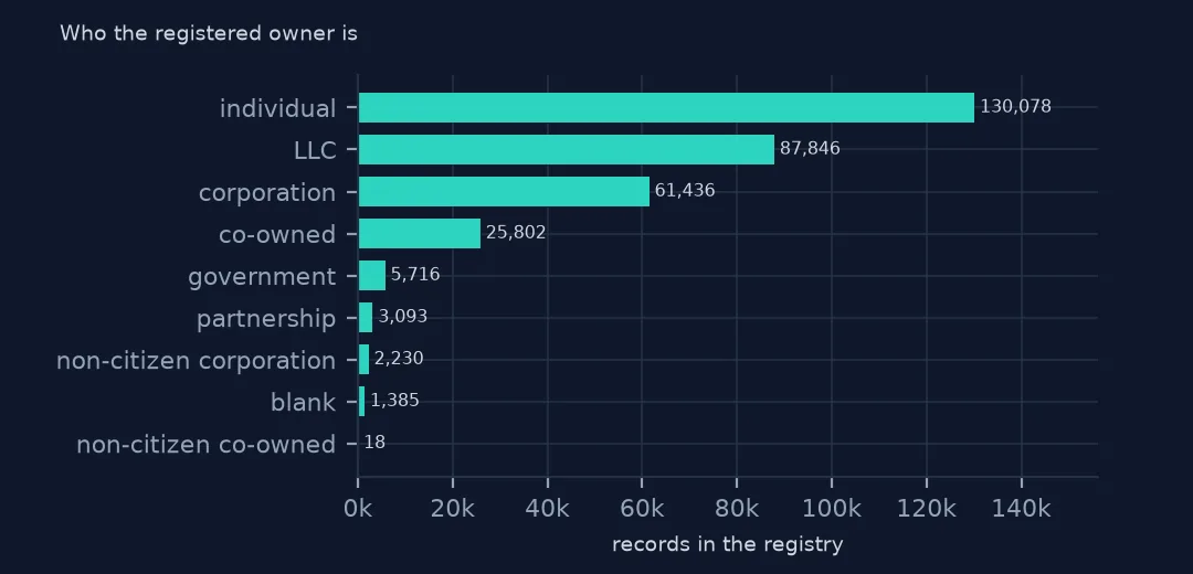 Horizontal bar chart of registry records by type of owner: 130,078 individuals, 87,846 LLCs, 61,436 corporations, 25,802 co-owned, then government, partnership, non-citizen corporations and blanks.