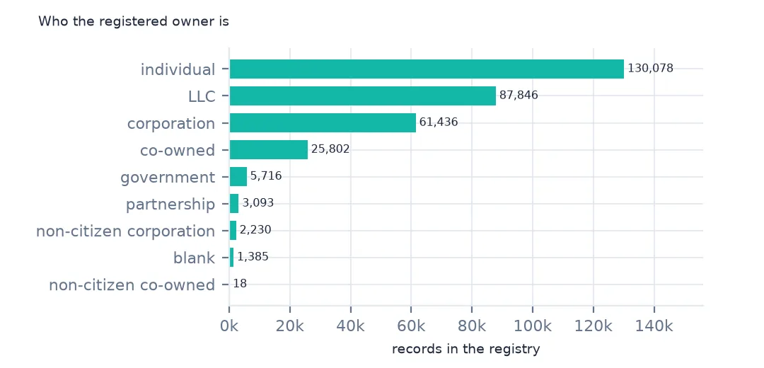 Horizontal bar chart of registry records by type of owner: 130,078 individuals, 87,846 LLCs, 61,436 corporations, 25,802 co-owned, then government, partnership, non-citizen corporations and blanks.