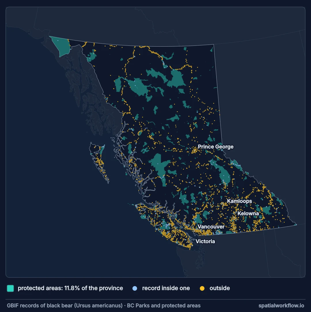 Map of British Columbia with protected areas shaded and 7,560 black bear records as dots. The records trace highways and cluster around Vancouver, Victoria, Kamloops, Kelowna and Prince George; only a minority fall inside the protected areas.