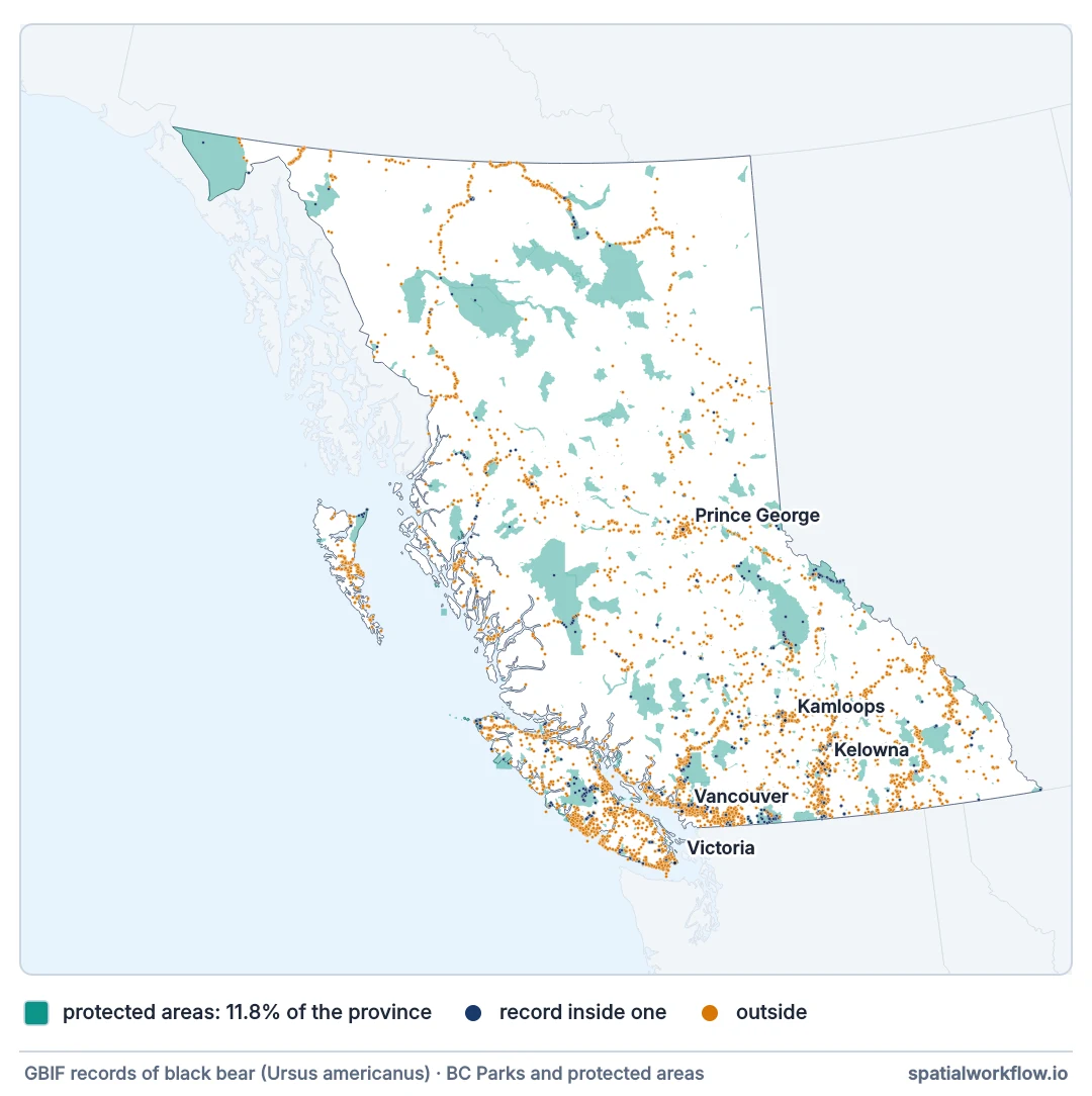 Map of British Columbia with protected areas shaded and 7,560 black bear records as dots. The records trace highways and cluster around Vancouver, Victoria, Kamloops, Kelowna and Prince George; only a minority fall inside the protected areas.