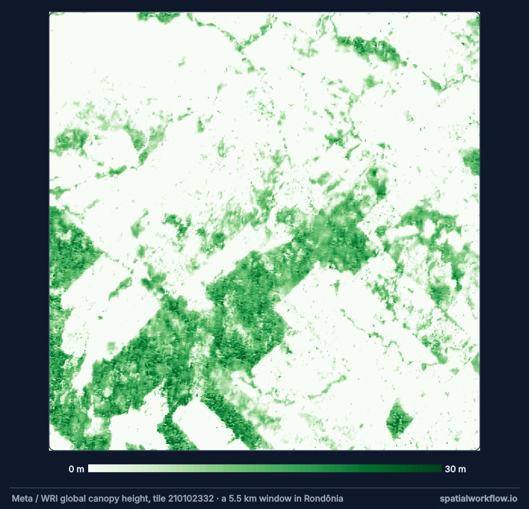 Canopy height map of a 5.5 km window in Rondônia: most of it pale, under 2 metres, with dark green blocks of tall forest along a diagonal band and in the south-west, and lighter green patches of lower regrowth.