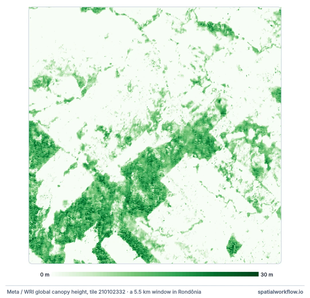 Canopy height map of a 5.5 km window in Rondônia: most of it pale, under 2 metres, with dark green blocks of tall forest along a diagonal band and in the south-west, and lighter green patches of lower regrowth.
