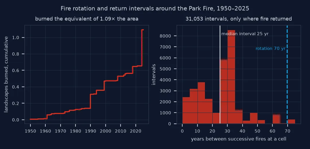 Left, a step chart of the cumulative area burned as a multiple of the landscape from 1950 to 2025, rising slowly to about 0.14 by 1989, then in steps to 0.65 by 2021 and to 1.09 after the 2024 Park Fire. Right, a histogram of 31,053 intervals between successive fires at a cell, with a median of 25 years marked and the fire rotation of 70 years marked as a dashed line well to the right.