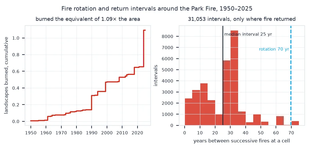 Left, a step chart of the cumulative area burned as a multiple of the landscape from 1950 to 2025, rising slowly to about 0.14 by 1989, then in steps to 0.65 by 2021 and to 1.09 after the 2024 Park Fire. Right, a histogram of 31,053 intervals between successive fires at a cell, with a median of 25 years marked and the fire rotation of 70 years marked as a dashed line well to the right.