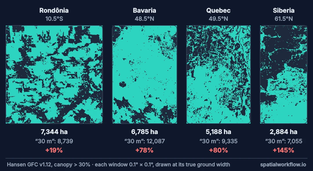 Four forest maps of the same size in degrees, drawn at their true ground width: Rondônia near the equator is almost square, Siberia at 61.5 degrees north is barely half as wide. Under each, the correct forest area, the naive area and the error.