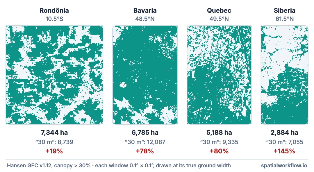 Four forest maps of the same size in degrees, drawn at their true ground width: Rondônia near the equator is almost square, Siberia at 61.5 degrees north is barely half as wide. Under each, the correct forest area, the naive area and the error.