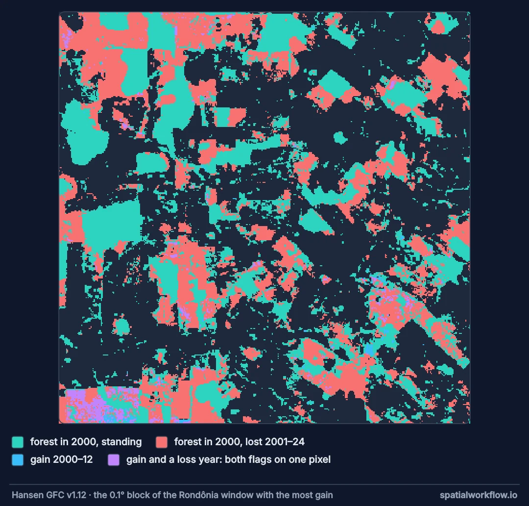 Close-up map of forest in Rondônia: standing forest in teal, forest lost since 2000 in red, and small patches of gain in blue and purple, many of them inside areas marked lost, with a solid purple block in the south-west corner.