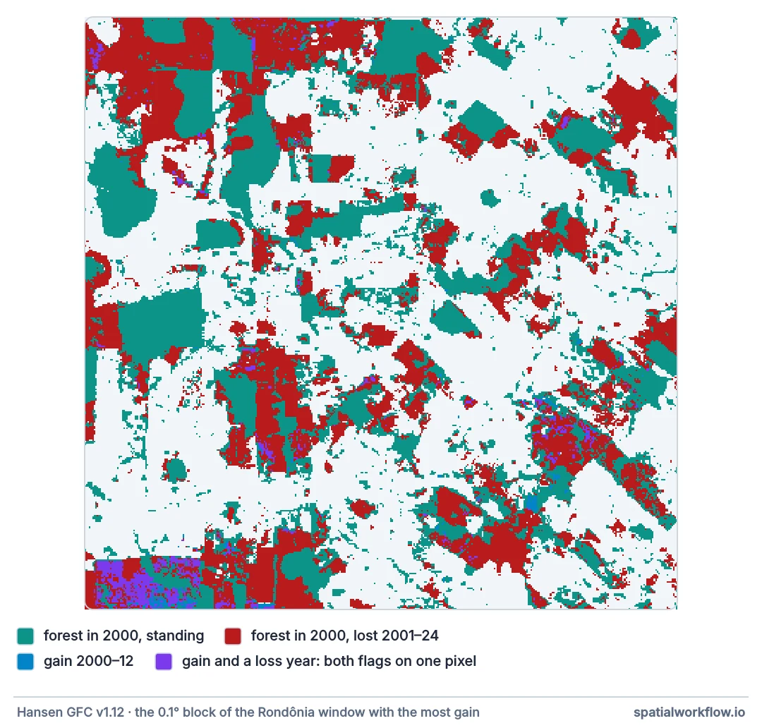 Close-up map of forest in Rondônia: standing forest in teal, forest lost since 2000 in red, and small patches of gain in blue and purple, many of them inside areas marked lost, with a solid purple block in the south-west corner.