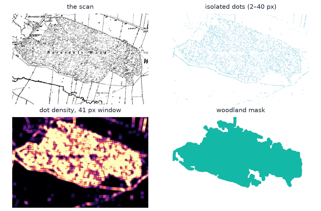 Four panels around Barnsdale Wood on the 1880s sheet: the scan with its tree stipple; only the small isolated dots, in blue; a density surface that is bright inside the wood; and the final teal woodland mask covering the wood.
