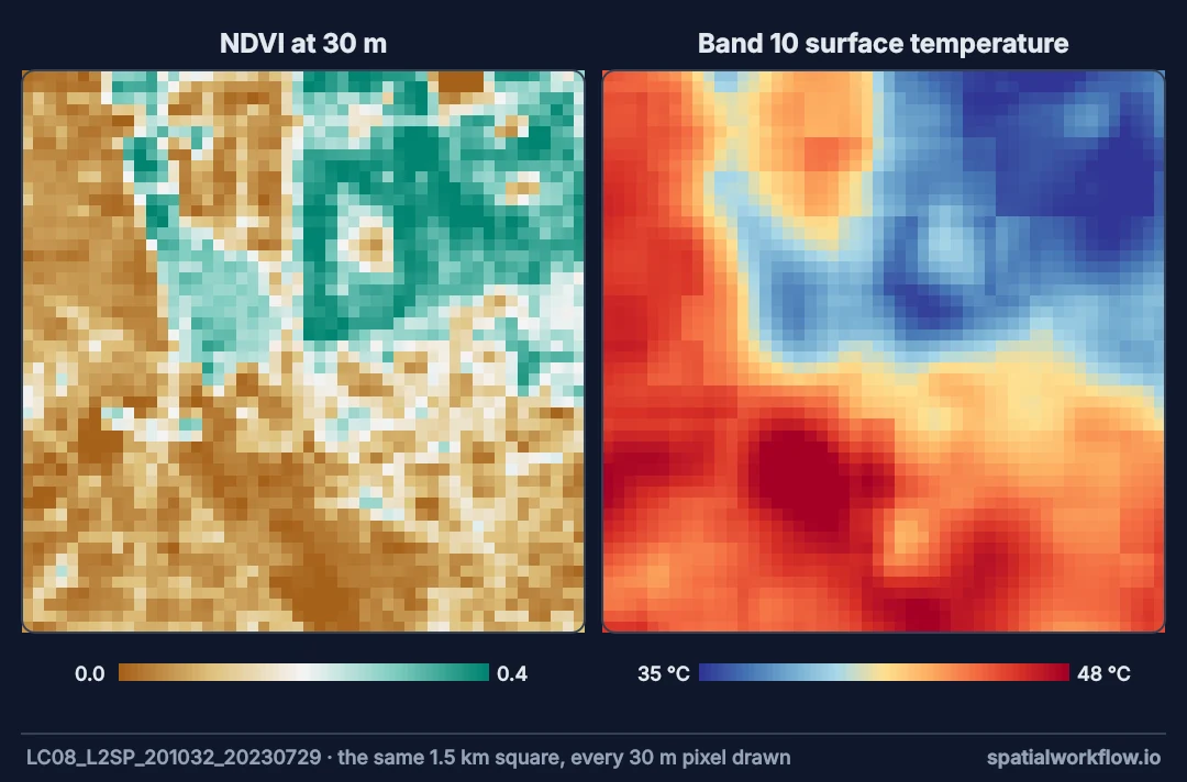 Two close-ups of the same 1.5 km square of Madrid with every 30 metre pixel drawn: NDVI on the left, sharp and blocky with pixel-level detail; surface temperature on the right, smooth and blurred across several pixels.
