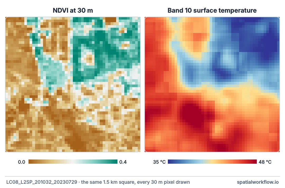 Two close-ups of the same 1.5 km square of Madrid with every 30 metre pixel drawn: NDVI on the left, sharp and blocky with pixel-level detail; surface temperature on the right, smooth and blurred across several pixels.