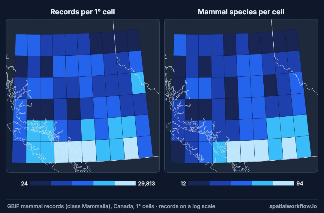 Two grid maps of southern British Columbia side by side: records per one-degree cell on the left and mammal species per cell on the right. The two maps are almost the same picture, darkest along the southern border near Vancouver.