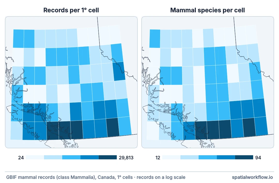 Two grid maps of southern British Columbia side by side: records per one-degree cell on the left and mammal species per cell on the right. The two maps are almost the same picture, darkest along the southern border near Vancouver.