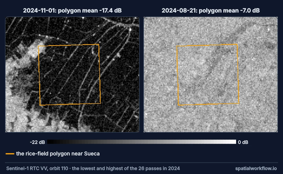 Two radar images of rice fields near Sueca with the study polygon outlined: on 1 November 2024 the fields are black, flooded after the storm; on 21 August 2024 they are bright grey under a full crop.