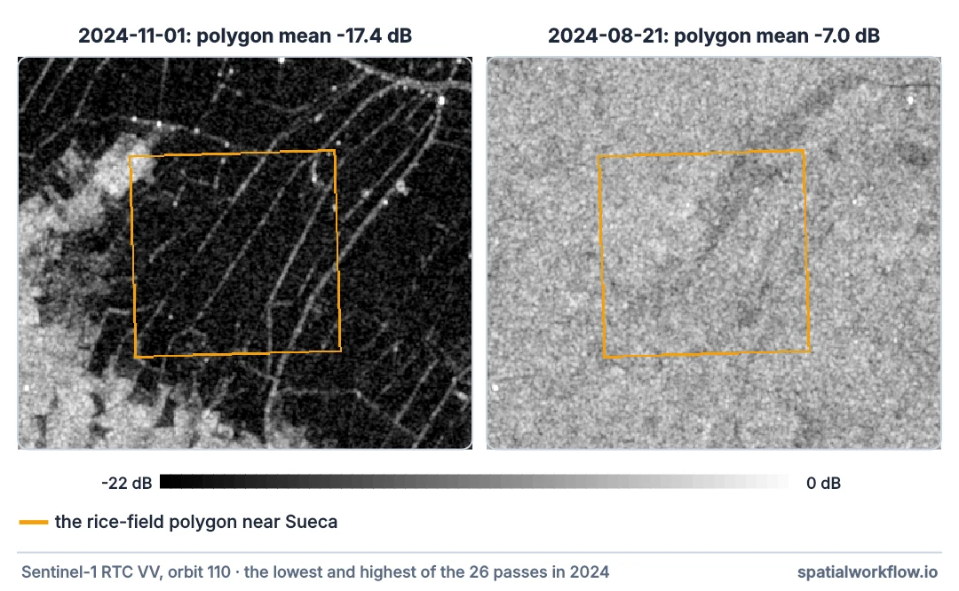 Two radar images of rice fields near Sueca with the study polygon outlined: on 1 November 2024 the fields are black, flooded after the storm; on 21 August 2024 they are bright grey under a full crop.