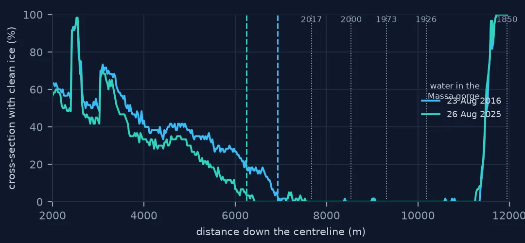 Line chart of the share of each cross-section with clean ice along the centreline in August 2016 and August 2025: both fall from around 60 percent to zero, the 2025 line reaching zero about 675 m further up; dotted lines mark the GLIMS termini, all in the zero region; a spike near 11,500 m is water in the Massa gorge.
