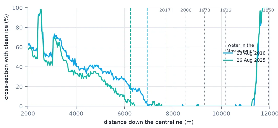 Line chart of the share of each cross-section with clean ice along the centreline in August 2016 and August 2025: both fall from around 60 percent to zero, the 2025 line reaching zero about 675 m further up; dotted lines mark the GLIMS termini, all in the zero region; a spike near 11,500 m is water in the Massa gorge.