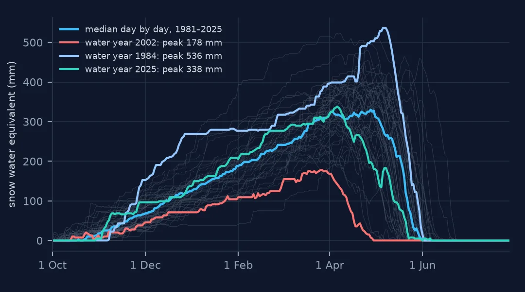 Snow water equivalent at Niwot SNOTEL through every water year from 1981 to 2025 in grey, the day-by-day median in blue peaking near 330 mm in mid-April, 2002 in red peaking at 178 mm and melting out by early May, 1984 in dark blue peaking at 536 mm in May, and 2025 in teal.