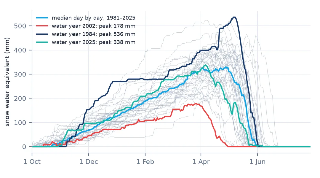 Snow water equivalent at Niwot SNOTEL through every water year from 1981 to 2025 in grey, the day-by-day median in blue peaking near 330 mm in mid-April, 2002 in red peaking at 178 mm and melting out by early May, 1984 in dark blue peaking at 536 mm in May, and 2025 in teal.