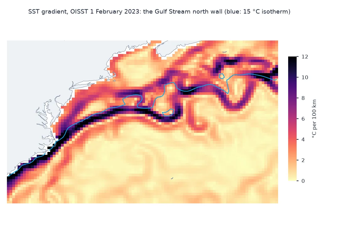 Map of the sea surface temperature gradient off the US east coast on 1 February 2023, in degrees per 100 km: a dark, narrow band of gradients above 10 runs from Cape Hatteras north-east along the Gulf Stream's north wall and meanders east of 70 west, with the 15 degree isotherm drawn along it; elsewhere gradients are below 2.