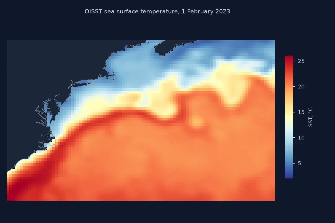 Map of OISST sea surface temperature on 1 February 2023 from 30 to 45 north and 80 to 55 west: warm water above 20 degrees in the Gulf Stream and Sargasso Sea to the south-east, cold shelf and slope water below 10 degrees to the north-west, with a sharp boundary between them.