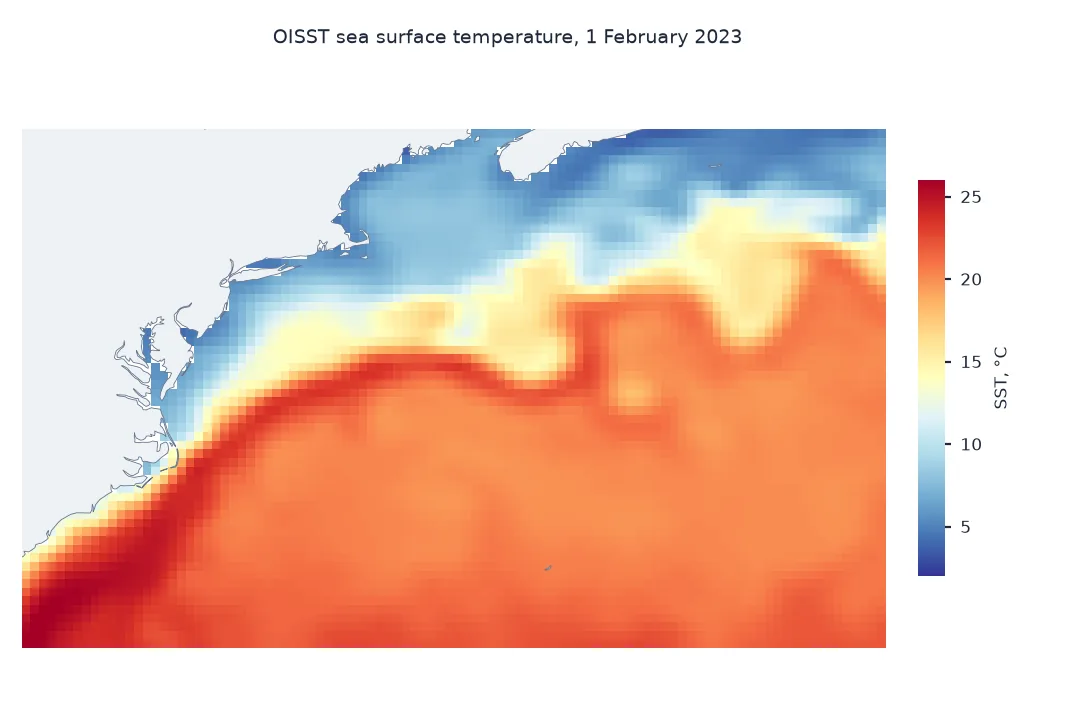 Map of OISST sea surface temperature on 1 February 2023 from 30 to 45 north and 80 to 55 west: warm water above 20 degrees in the Gulf Stream and Sargasso Sea to the south-east, cold shelf and slope water below 10 degrees to the north-west, with a sharp boundary between them.