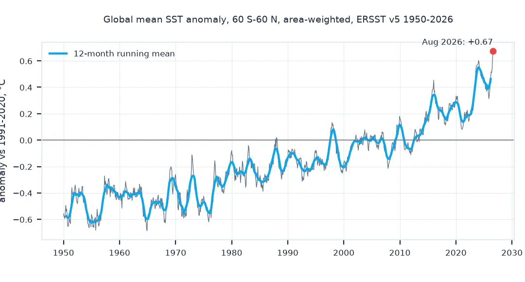 Chart of the monthly global mean sea surface temperature anomaly for 60 south to 60 north against 1991 to 2020, from about minus 0.5 degrees in the 1950s to the record of plus 0.67 in August 2026, with a 12-month running mean that rises steeply after 2022.