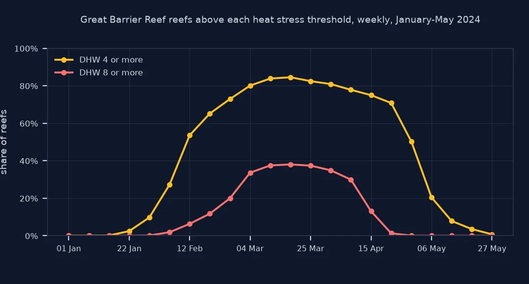 Line chart of the weekly share of Great Barrier Reef reefs at or above 4 and 8 degree heating weeks from January to May 2024: the share at 4 or more rises to about 84 percent in March and the share at 8 or more peaks at 38 percent in mid-March, both falling to near zero by late May.