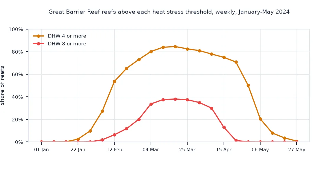 Line chart of the weekly share of Great Barrier Reef reefs at or above 4 and 8 degree heating weeks from January to May 2024: the share at 4 or more rises to about 84 percent in March and the share at 8 or more peaks at 38 percent in mid-March, both falling to near zero by late May.
