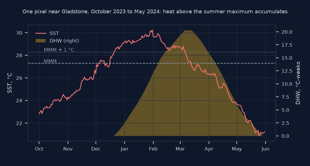 Chart of one Coral Reef Watch pixel near Gladstone from October 2023 to May 2024: sea surface temperature rises above the maximum monthly mean of 27.28 degrees in December and peaks at about 30.2 degrees at the end of January, while degree heating weeks, shaded, climb to 20.3 in early March and fall back to zero by late May.