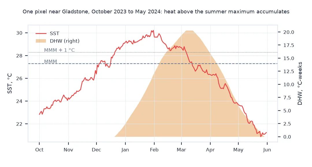 Chart of one Coral Reef Watch pixel near Gladstone from October 2023 to May 2024: sea surface temperature rises above the maximum monthly mean of 27.28 degrees in December and peaks at about 30.2 degrees at the end of January, while degree heating weeks, shaded, climb to 20.3 in early March and fall back to zero by late May.