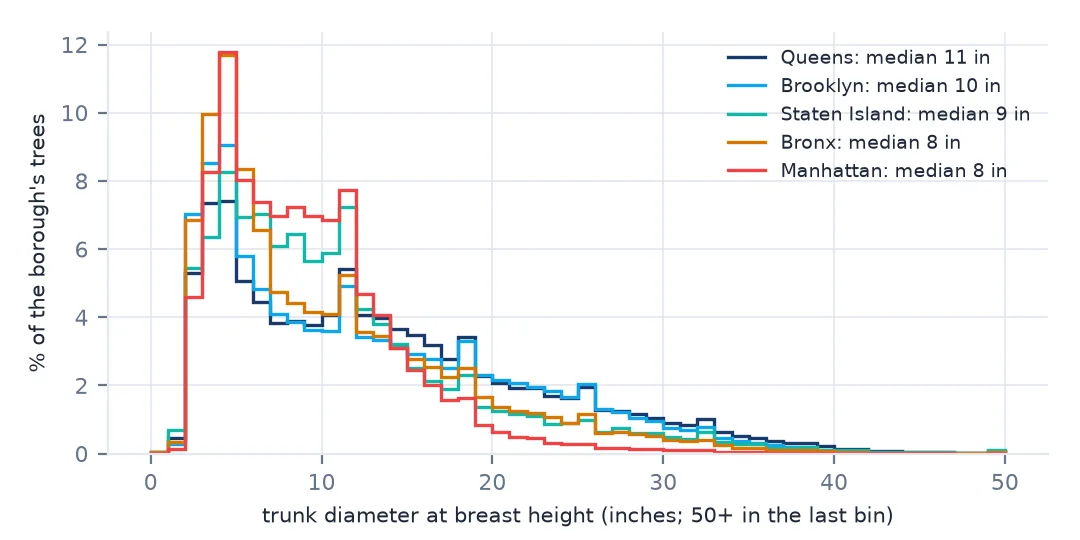 Histograms of trunk diameter for each borough from 0 to 50 inches: all peak at 3 to 5 inches; Queens and Brooklyn have more large trees, Manhattan and the Bronx more small ones.