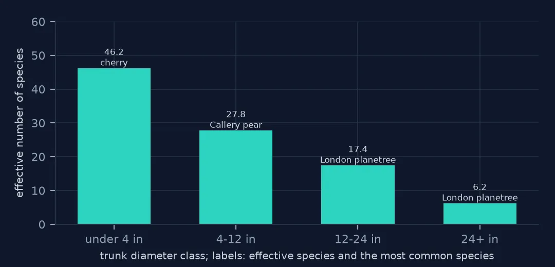 Bar chart of effective number of species by trunk diameter class: 46.2 for trees under 4 inches (most common cherry), 27.8 for 4 to 12 inches (Callery pear), 17.4 for 12 to 24 inches and 6.2 for trees over 24 inches (London planetree).