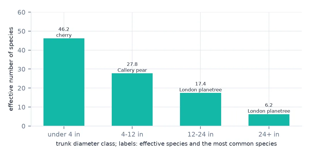 Bar chart of effective number of species by trunk diameter class: 46.2 for trees under 4 inches (most common cherry), 27.8 for 4 to 12 inches (Callery pear), 17.4 for 12 to 24 inches and 6.2 for trees over 24 inches (London planetree).