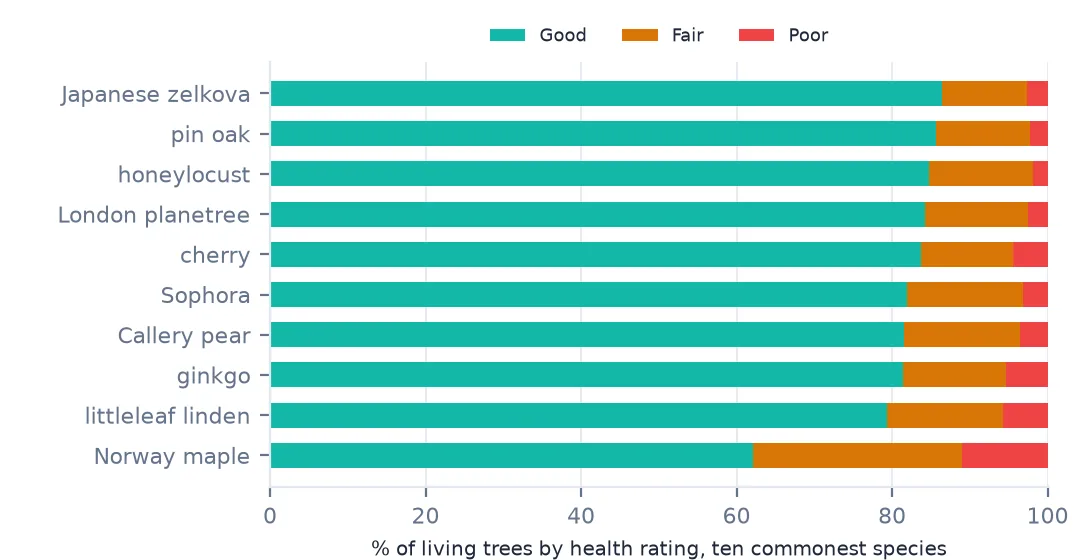 Stacked bars of health ratings for the ten commonest street tree species: most are over 80 percent Good, while the Norway maple is 62 percent Good with large Fair and Poor shares.