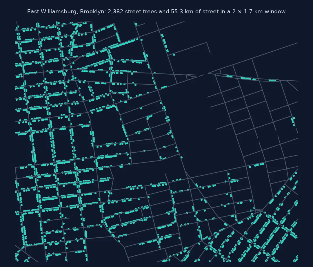 Close-up map of East Williamsburg in Brooklyn showing street centrelines and street trees as dots: residential blocks lined with trees and an industrial area with streets but almost no trees.