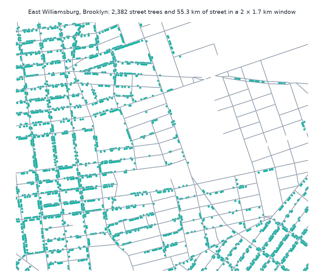 Close-up map of East Williamsburg in Brooklyn showing street centrelines and street trees as dots: residential blocks lined with trees and an industrial area with streets but almost no trees.