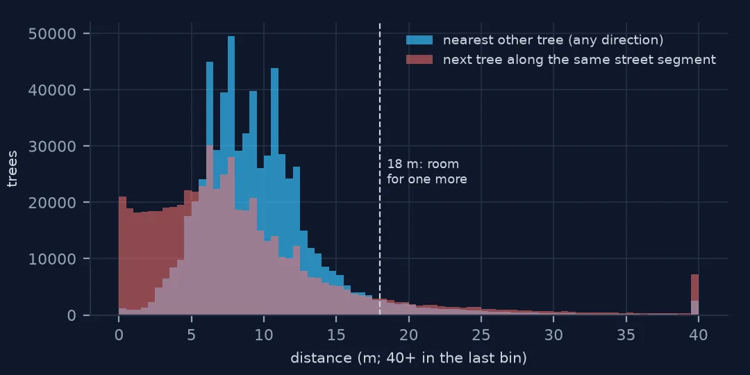 Two overlapping histograms of distances: nearest other tree in any direction, peaking near 6 to 9 m; and the next tree along the same street segment, with many short distances under 4 m and a long tail; a dashed line marks 18 m.