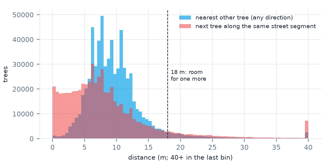 Two overlapping histograms of distances: nearest other tree in any direction, peaking near 6 to 9 m; and the next tree along the same street segment, with many short distances under 4 m and a long tail; a dashed line marks 18 m.