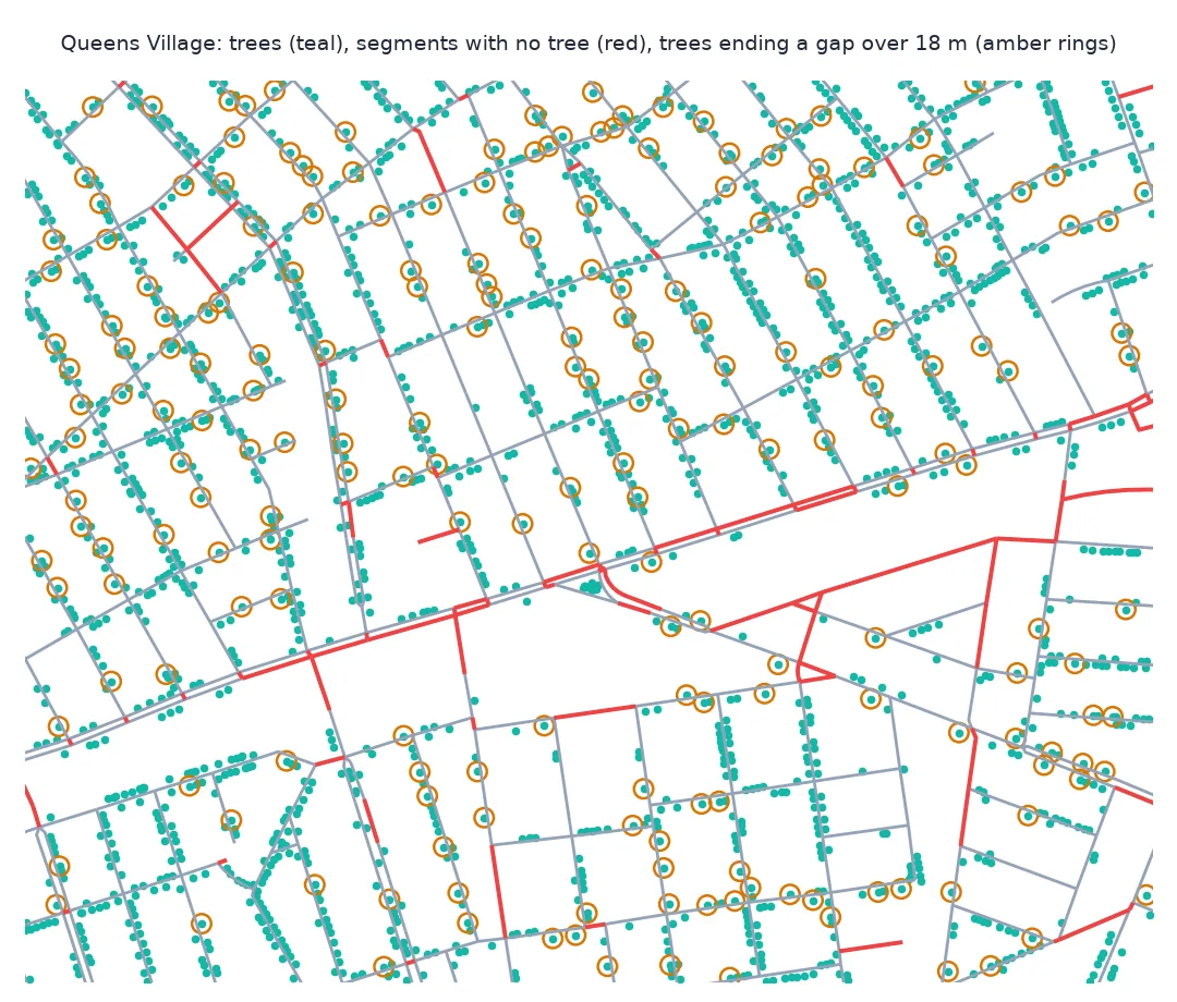 Close-up map of Queens Village with street segments, trees as teal dots, segments with no tree in red and amber rings marking trees at the end of a gap of more than 18 m.